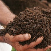 Composting Initiative Pic