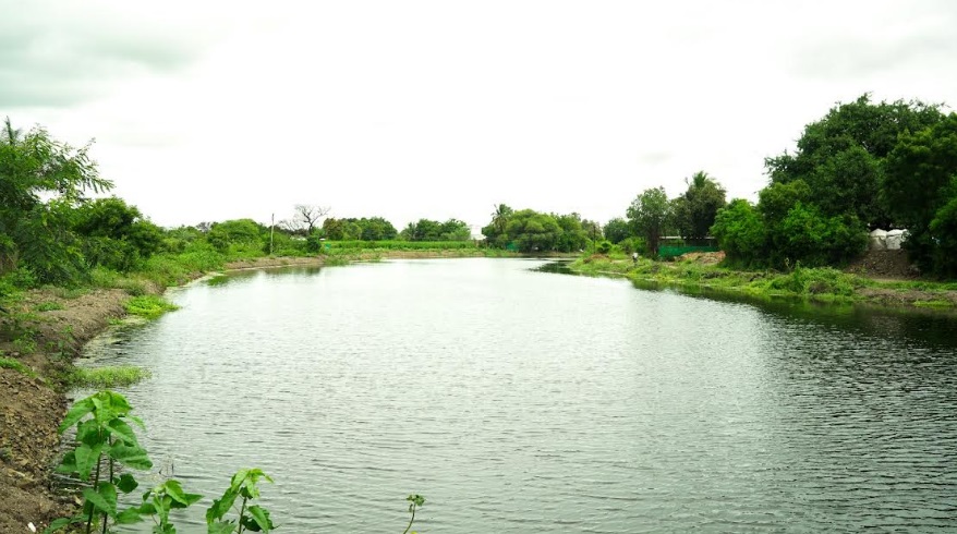 Revived by JalTara, this once-dry water body in Ahilyanagar is now a sustainable water resource
